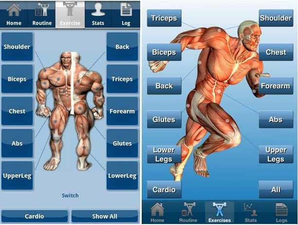 Helping Smartphone Apps to Bodybuilders Fitness