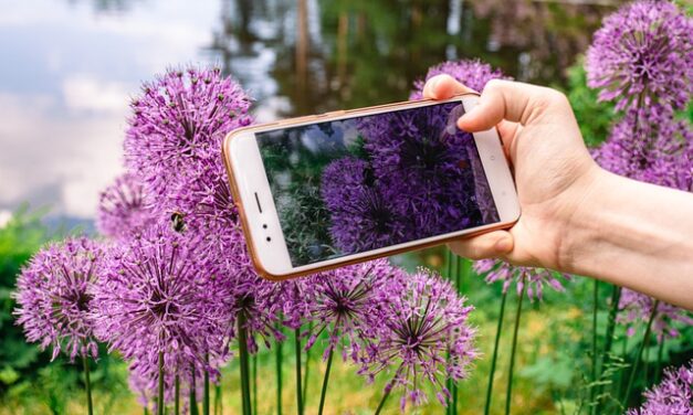 Best Phones for Plant Photography
