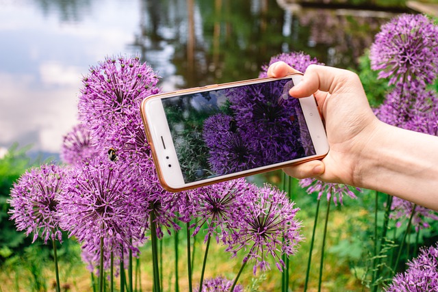 Best Phones for Plant Photography